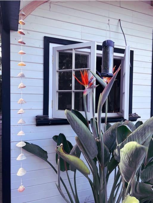 The Cabana - A Romantic Seaside Getaway And Garden Ryde  Exterior photo